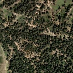 Satellite imagery of survey_point, DZ