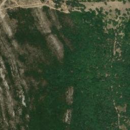 Satellite imagery of survey_point, DZ