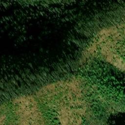 Satellite imagery of Bowers Branch Prospect, US