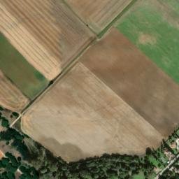 Satellite imagery of survey_point, DZ