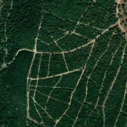 Satellite imagery of survey_point, DZ