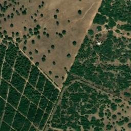 Satellite imagery of survey_point, DZ