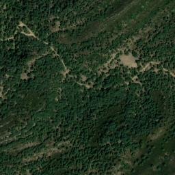 Satellite imagery of survey_point, DZ