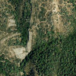 Satellite imagery of survey_point, DZ