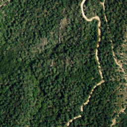Satellite imagery of survey_point, DZ