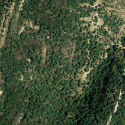 Satellite imagery of survey_point, DZ