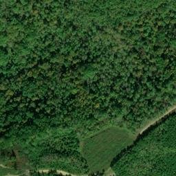 Satellite imagery of Williamson Ridge, US