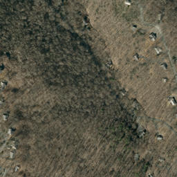 Satellite imagery of Bee Ridge, US