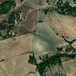 Satellite imagery of survey_point, DZ