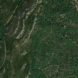 Satellite imagery of survey_point, DZ