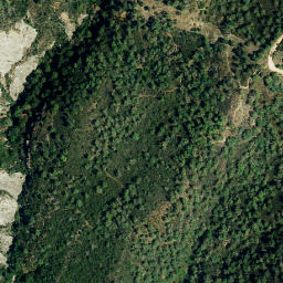 Satellite imagery of survey_point, DZ