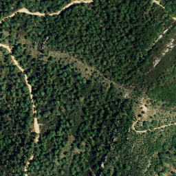 Satellite imagery of survey_point, DZ