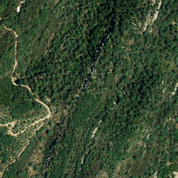 Satellite imagery of survey_point, DZ