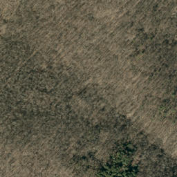 Satellite imagery of Elk Ridge, US