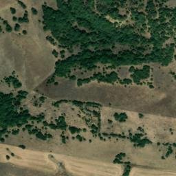 Satellite imagery of survey_point, DZ