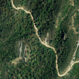 Satellite imagery of survey_point, DZ