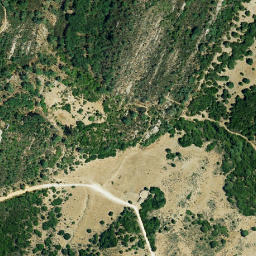 Satellite imagery of survey_point, DZ