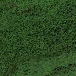 Satellite imagery of Roach Ridge, US