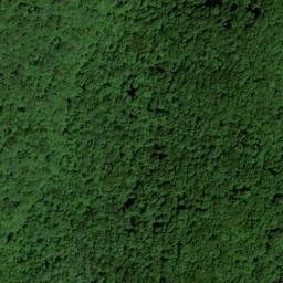 Satellite imagery of Wolf Ridge, US