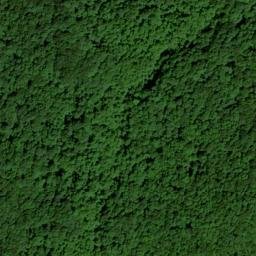 Satellite imagery of Wolf Ridge, US