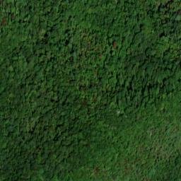 Satellite imagery of Freeman and Young Mine, US