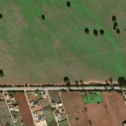 Satellite imagery of survey_point, DZ