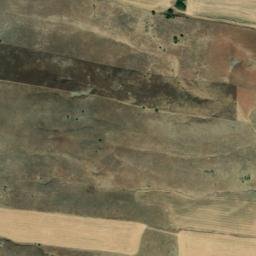 Satellite imagery of survey_point, DZ