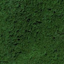 Satellite imagery of Wolf Ridge, US