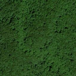 Satellite imagery of Wolf Ridge, US