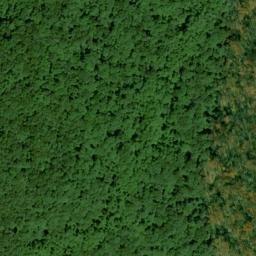 Satellite imagery of Wolf Ridge, US