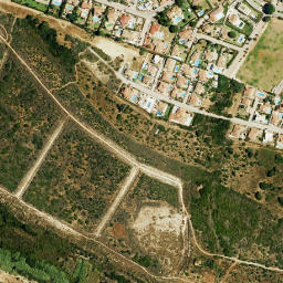 Satellite imagery of survey_point, DZ