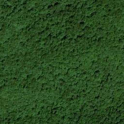 Satellite imagery of Wolf Ridge, US