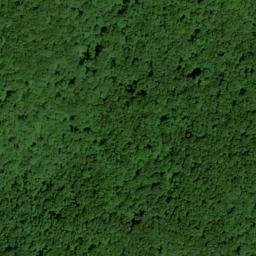 Satellite imagery of Wolf Ridge, US