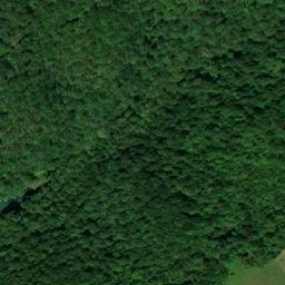 Satellite imagery of Turkey Ridge, US