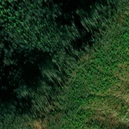 Satellite imagery of Siam Prospect, US
