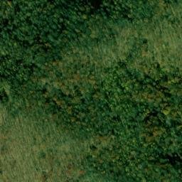 Satellite imagery of Back Spur, US