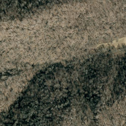 Satellite imagery of Fork Ridge, US
