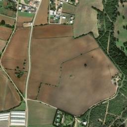 Satellite imagery of survey_point, DZ