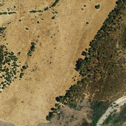 Satellite imagery of survey_point, DZ