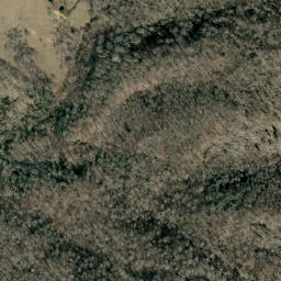 Satellite imagery of Fork Ridge, US
