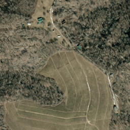 Satellite imagery of Fork Ridge, US