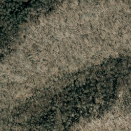 Satellite imagery of Fork Ridge, US