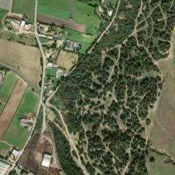 Satellite imagery of survey_point, DZ