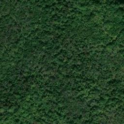 Satellite imagery of Mitchells Bluff, US