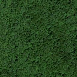 Satellite imagery of McCoy Ridge, US