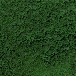 Satellite imagery of McCoy Ridge, US