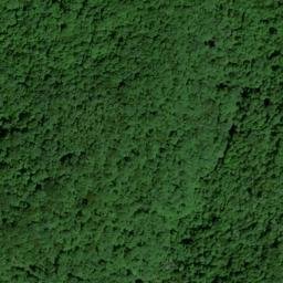 Satellite imagery of McCoy Ridge, US