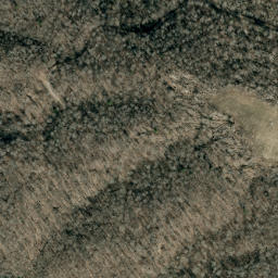 Satellite imagery of Fork Ridge, US