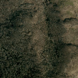 Satellite imagery of Rich Mountain, US