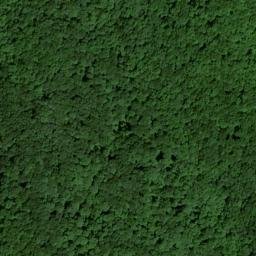 Satellite imagery of McCoy Ridge, US